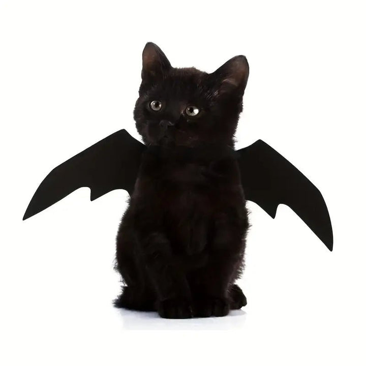 Halloween Bat Wings Pet Costume - Tran.scend